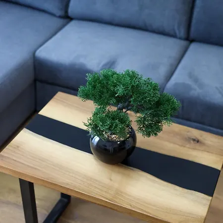 Tesla Sky アパート *