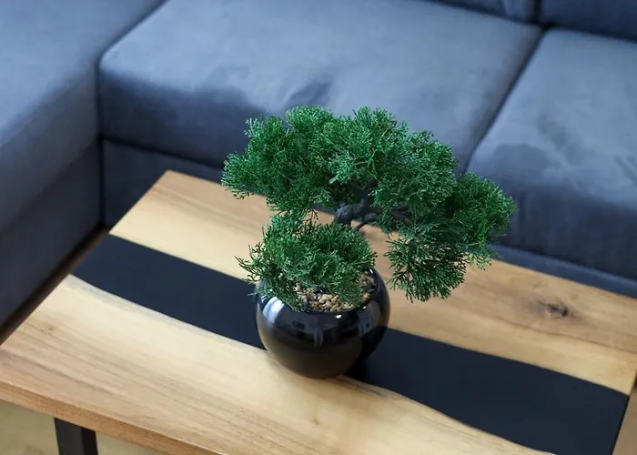 Tesla Sky דירה *